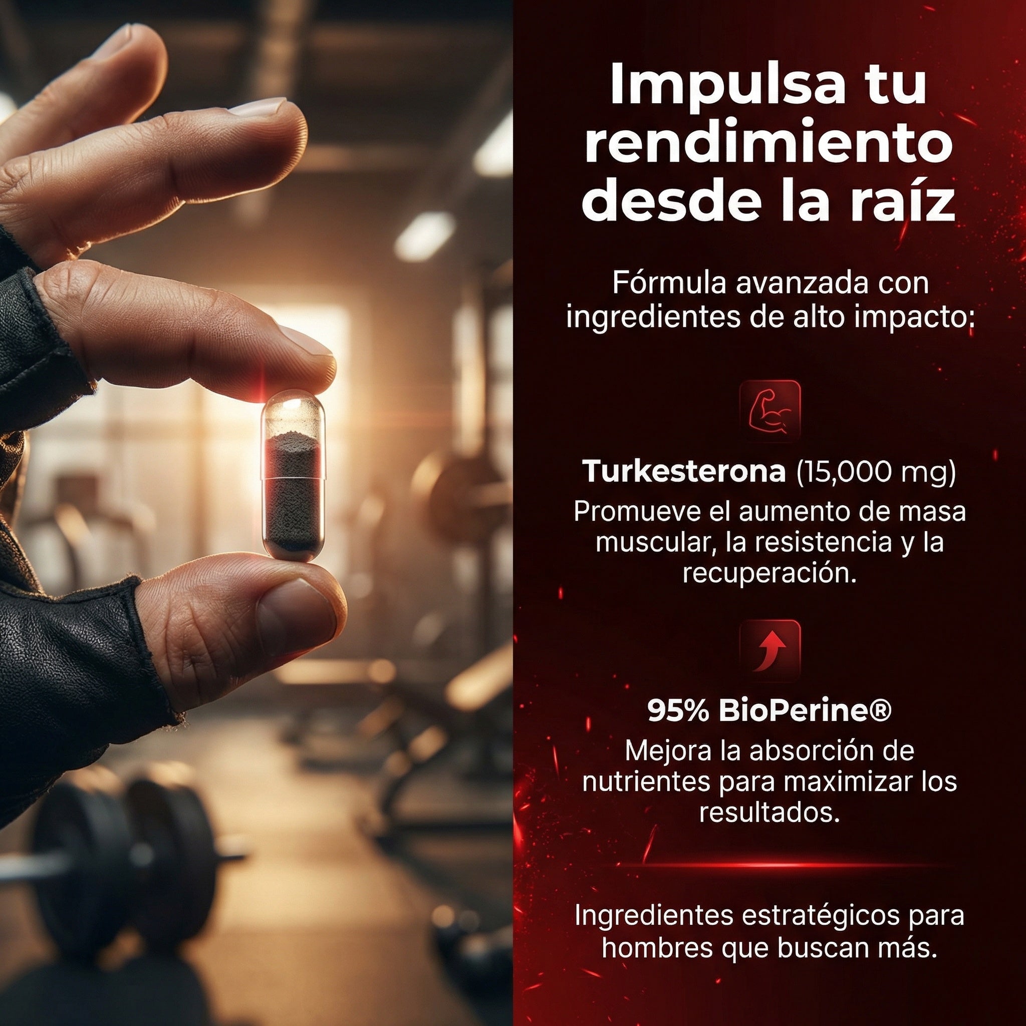 Turkesterone – Resultados reales. Fórmula estratégica. 💪